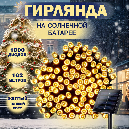 ���� �������� ������� �� ��������� ������� ����������� ��������� ����, ����, ������������, ����������������� 102� 1000 ����, ������ �� 5900 ���