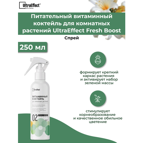     Fresh Boost 250  ()   -     , -, 