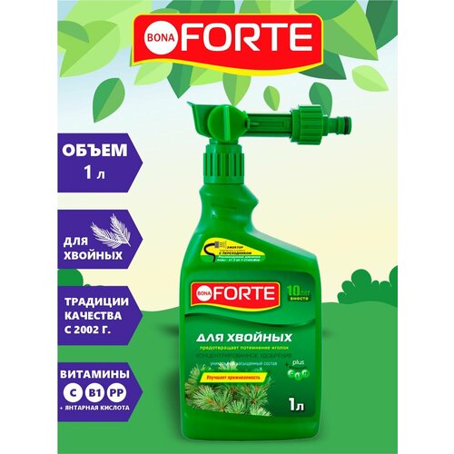  Bona Forte        1    -     , -, 