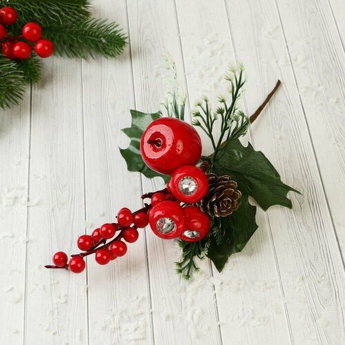 ���� ����� 