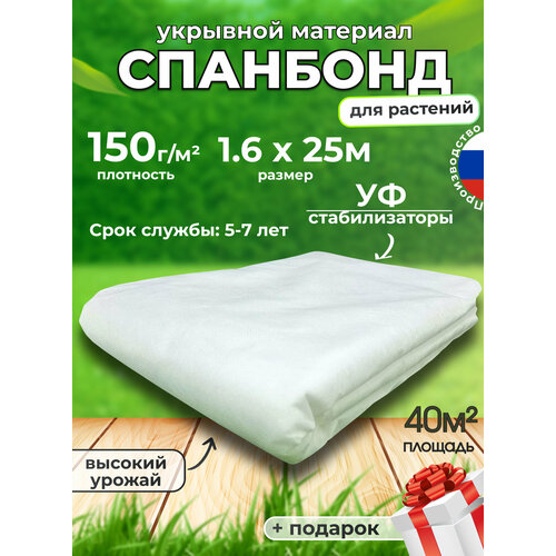 ���� �������� ����� ��� �������� ������� ������� �������� 150, ������ �� 3632 ���