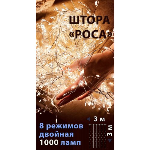 ���� �������� ����� 