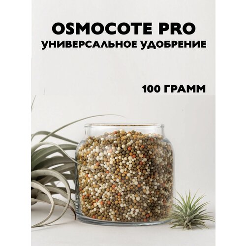    Osmocote PRO (5-6), 100   -     , -, 