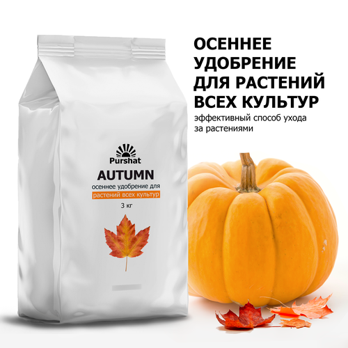 ���� ������� ��������� ������, 3��, ������ �� 588 ���