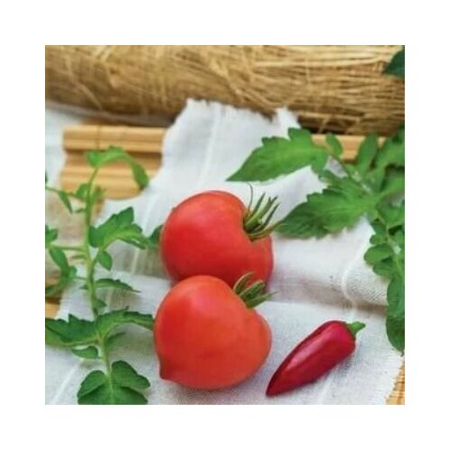 ���� ������������� ������ ������ ������� �������, ������ �� 102 ���