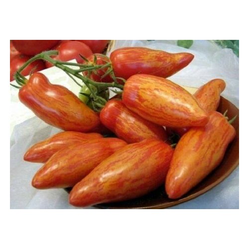 ���� ������������� ������ ������ ���� ����������, ������ �� 102 ���