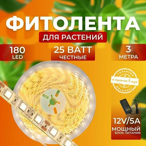 ���� ��������� ��� ����������� �������� ������� ������ ������ ��������� �������� ���������� ������������ ����� ��� ������ 180 LED, 25 ���� 3 �����, ������ �� 2100 ���