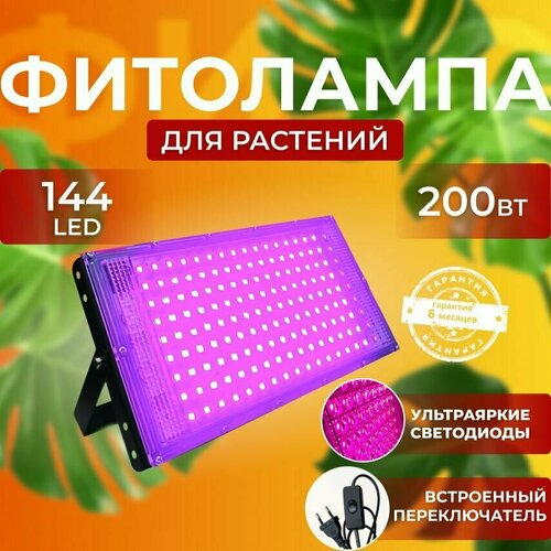 ���� ��������� ��� ����������� �������� ������� ������ ������ �������������� ������������, ����� ��������� ��� ������ � ��������, ������ �� 2310 ���