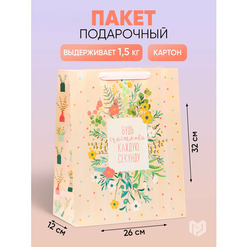 ���� ����� ���������� �������������� ����� ���������, 26 ? 32 ? 12 ��, ������ �� 184 ���