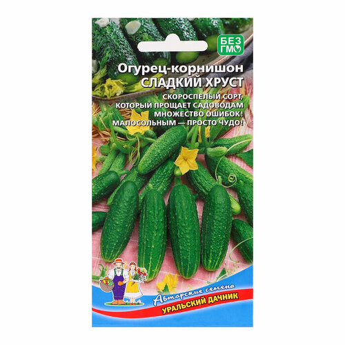 ���� ������ ������ 