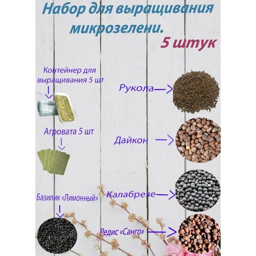 ���� ����� ��� ����������� ����������� 5 �������, ������ �� 315 ���