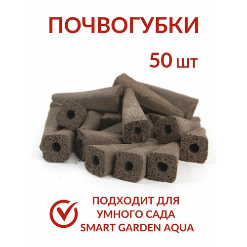 ���� ���������� �����, ��� ����� ���, 50 ����, ��������, ��������� ����������, ������ �� 1419 ���