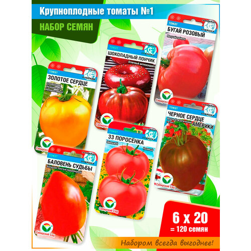 ���� ����� ����� ������� 