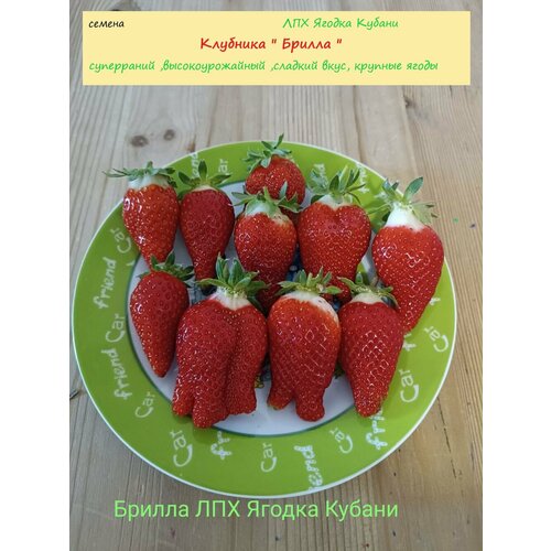 ���� �������� 