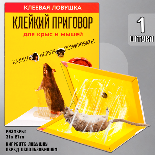 ���� ��������� ��� �����, ������� ������� ��� ���������, ��� ��������, ������� ��������, ������� �������, ������, 1 �����, ������ �� 169 ���