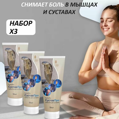 ���� ������ ��� ����-���� �������� ��� �������� � ����, ������ �� 1240 ���