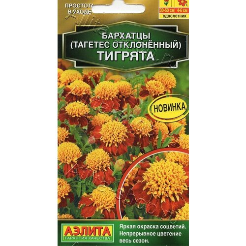 ���� ������ ��������� ������ 