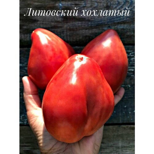 ���� ������������� ������ ������ ��������� �������� �������, ������ �� 127 ���