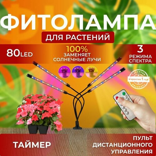 ���� ��������� ��� ����������� �������� ������� ������ ������ �������������� ������������ ��� ������ �� ������ ������� � ��������� � ��������, ����� �������������� ����������, 4 �����, ������ �� 2310 ���