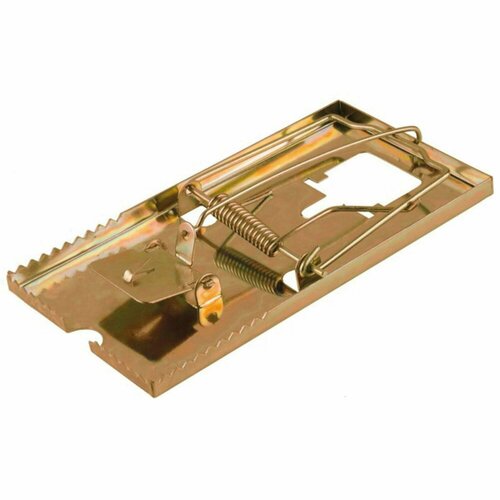 ���� ���������� ������������� 88 � 162 ��, Mr. Mouse, ������ �� 308 ���