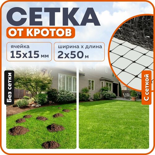     ,  1515 ,  50 ,  2 ,   4600 