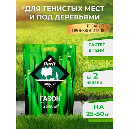 ���� �������� ����� ������ �������� ��� 900 �, ������ �� 658 ���