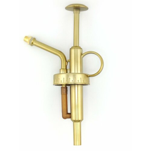   ()      (   ),   585 