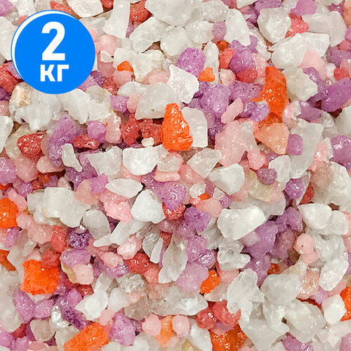 ���� ����������� ����� ��� ��������, ����������� � ��������, Zoo One, ��������� ��������, 