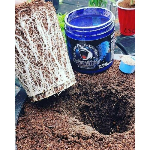  Great White Premium Mycorrhizae Plant Success 113.4     -     , -, 