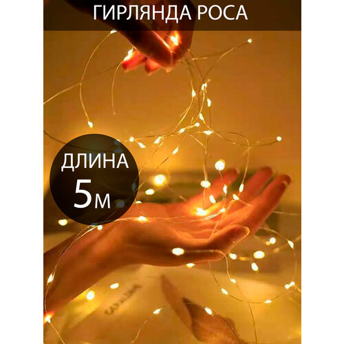 ���� �������� 