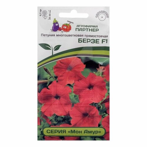 ���� ������ ������ ������� 