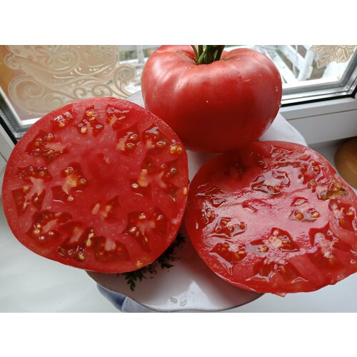 ���� ������������� ������ ������ ����������� ��������� ������, ������ �� 102 ���