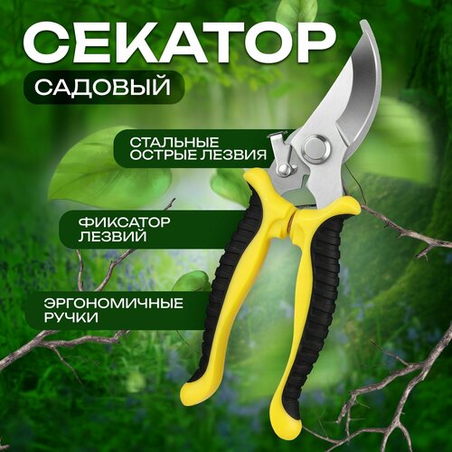 ���� ������� ���������������� ��� ������, �������, ������, ����������� � ������ ��������. �������� ������ ��� ���� � �������, ������ �� 371 ���