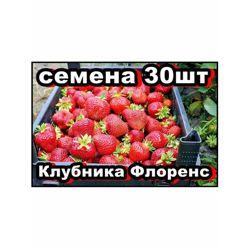 ���� ������ �������� ������� 30��, ������ �� 329 ���