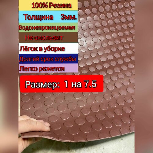       1  7.5 (,  )    , , ,  ,   19500 