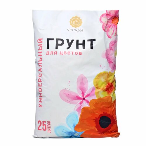 ���� ����� ��� ����� ��� ������ 25�, ������ �� 540 ���