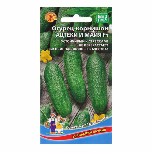 ���� ������ ������ 