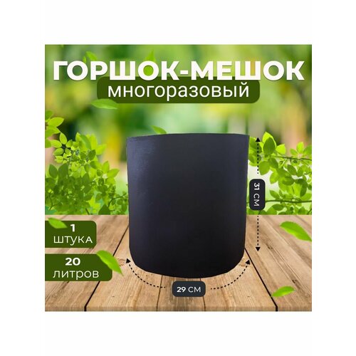 ���� ������ ����� ����������� ��� ������� � �������� 20�, 1��., ������ �� 312 ���