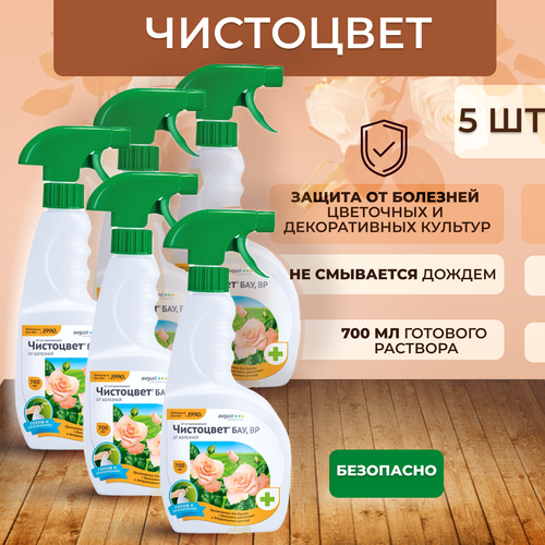 ���� August ����� ��������� ��� �� ����� �����, �����������, ��������� ���� 700 ��, 5 ��, ������ �� 2928 ���