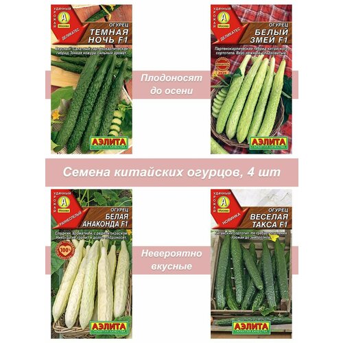 ���� ������ ��������� �������, 4 ��, ������ �� 459 ���