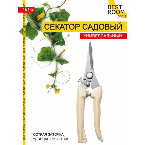 ���� ������� ������� ������������� ��� ��������, ��� ������, ������ �� 250 ���