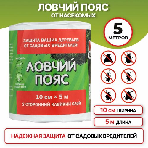       NoGuest,  , 5 ,   10 ,   356 