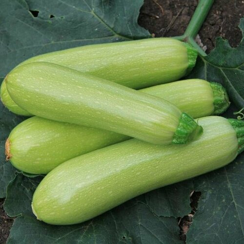    F1,      ,       , 5 ,   326 