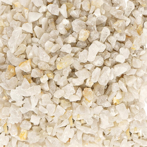 ���� ����������� ����� ��� ��������, ����������� � ��������, Zoo One, ��������� ��������, 