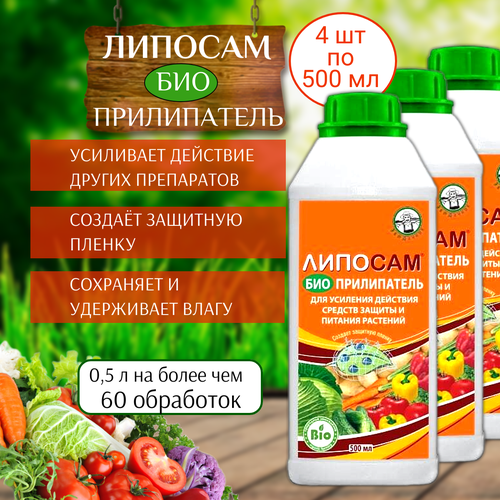 ���� ��������� ����������� ������� 500 ��, 4 ��, ������ �� 3432 ���