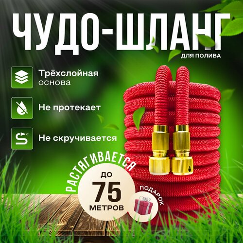 ���� ����� ������� ��������������� 75 ������ ��� ������ � ������������ � ������������/ 75 ������ ������� � ������������� �����������, ����������, ������ �� 2130 ���