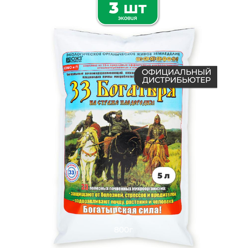 ���� 5� 33 �������� ��������� ��� �������� ������� ��������� 3 ��, ������ �� 1231 ���