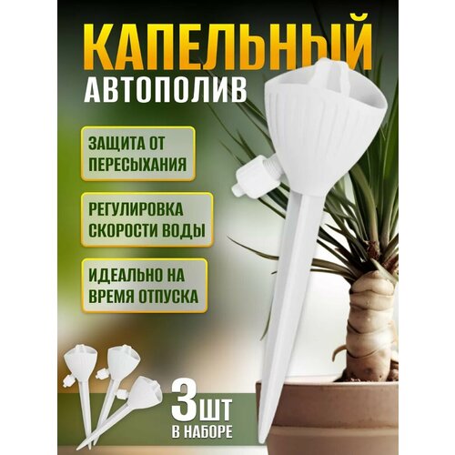 ���� ��������� ��� ��������� �������� ��������� �����, ������ �� 550 ���