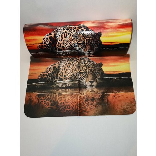 ���� ������ ��� ����� �� ������� /������ ��� ����� �������, ������ �� 700 ���