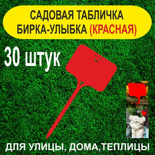    - .   . 30  (),   300 